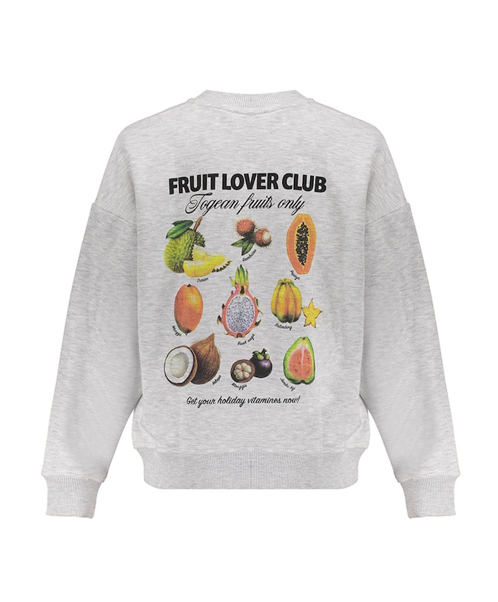 Meisjes sweater grijs