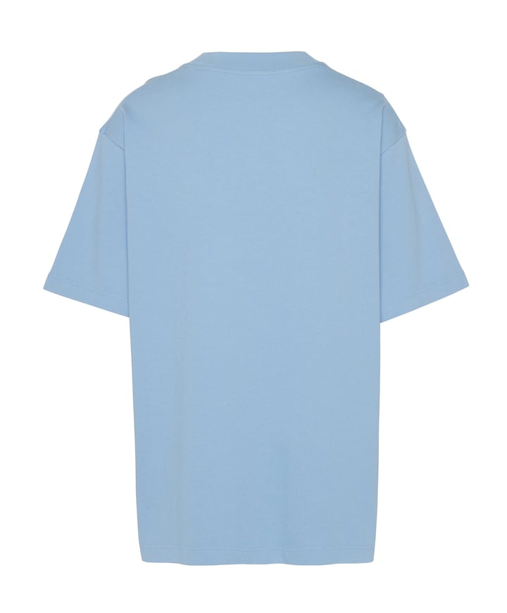 Heren t-shirt blauw