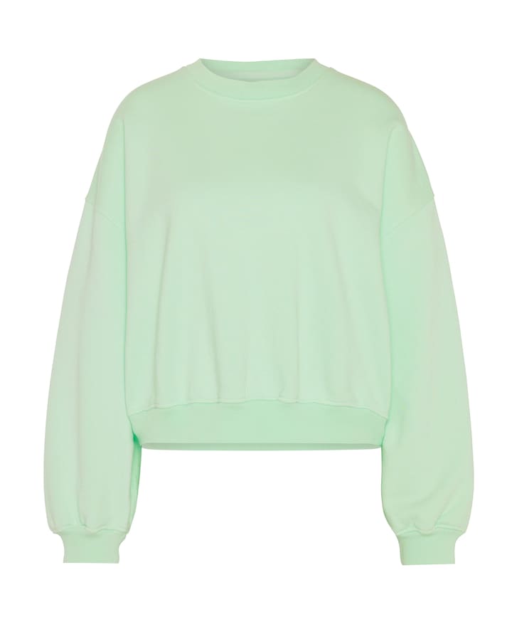 Dames trui groen