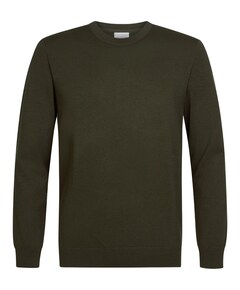 Heren trui groen