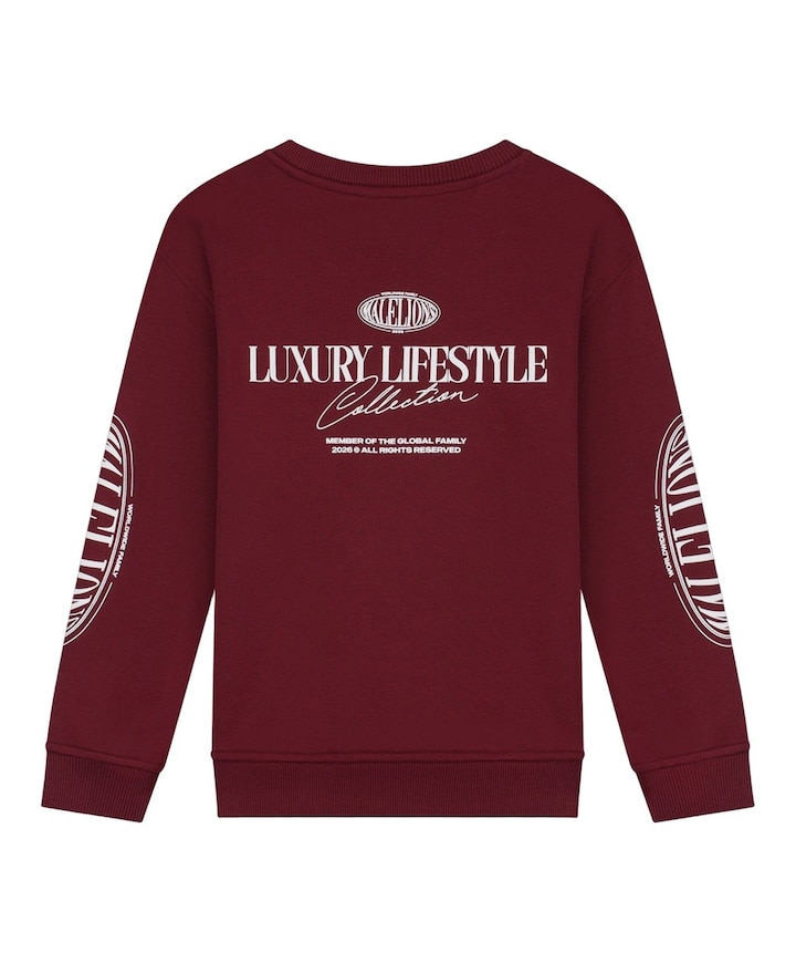 Jongens sweater bordeaux