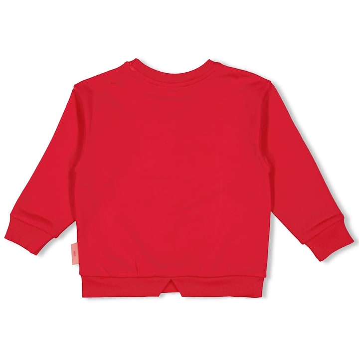 Sweater rood