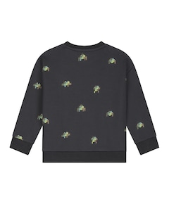 Jongens sweater grijs