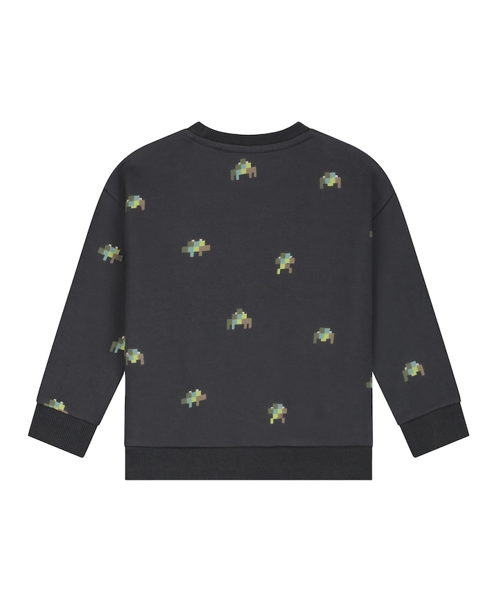 Jongens sweater grijs