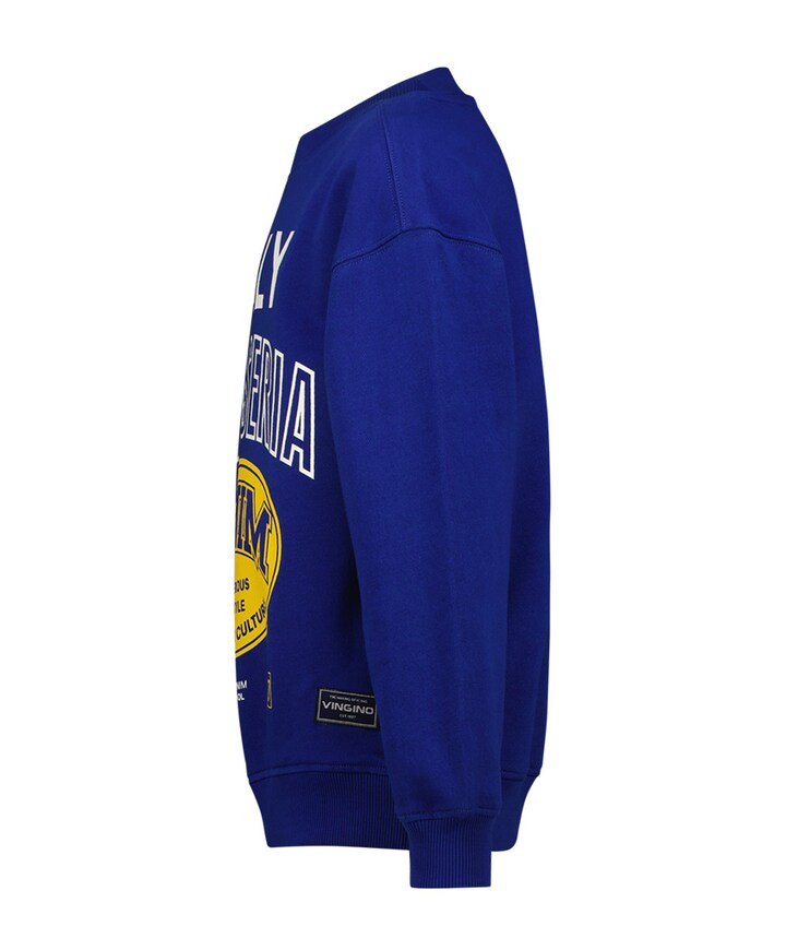 Sweater blauw