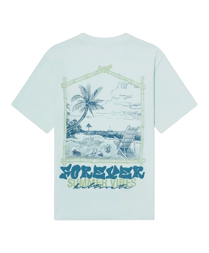 Heren T-shirt blauw