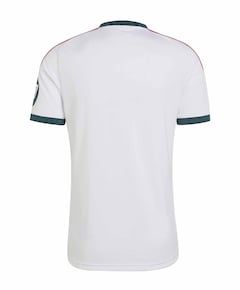 Heren T-shirt wit