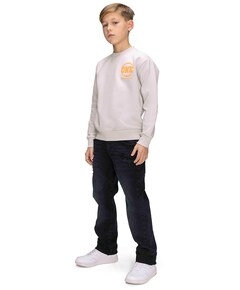 Jongens sweater grijs