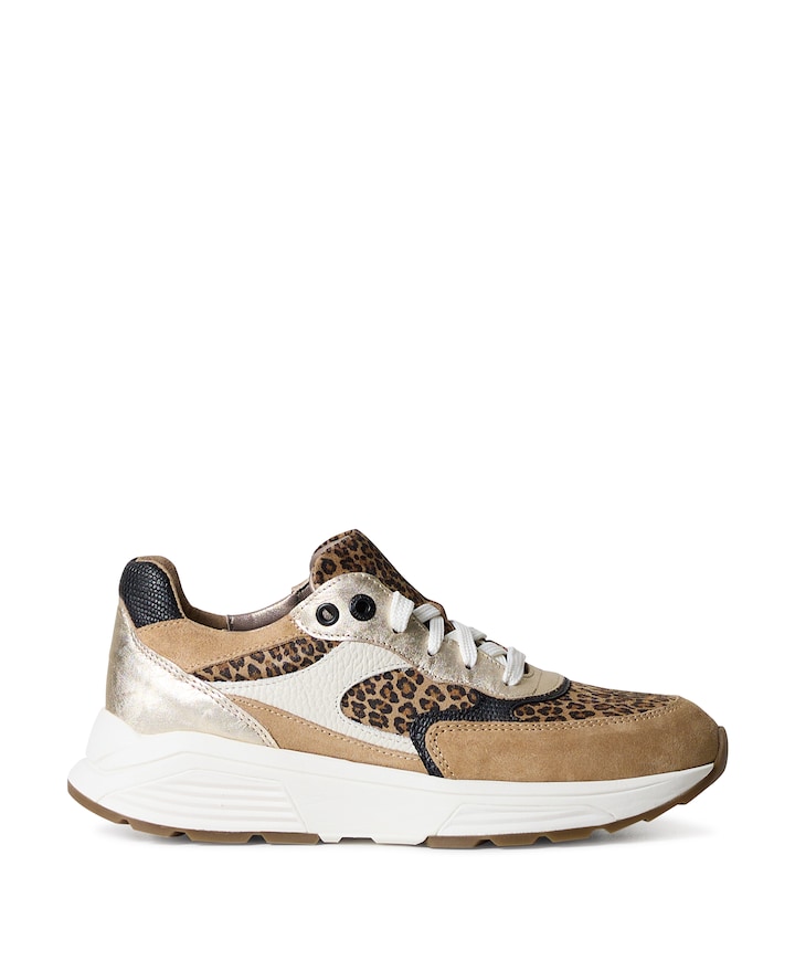 Ponte Vecchio dames sneakers bruin