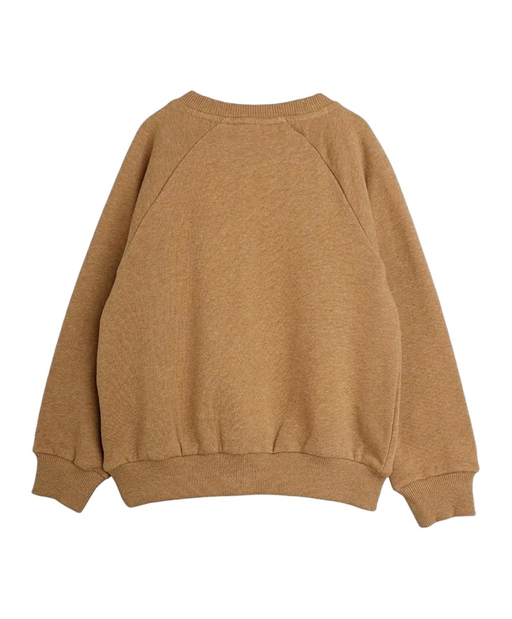 Jongens sweater bruin