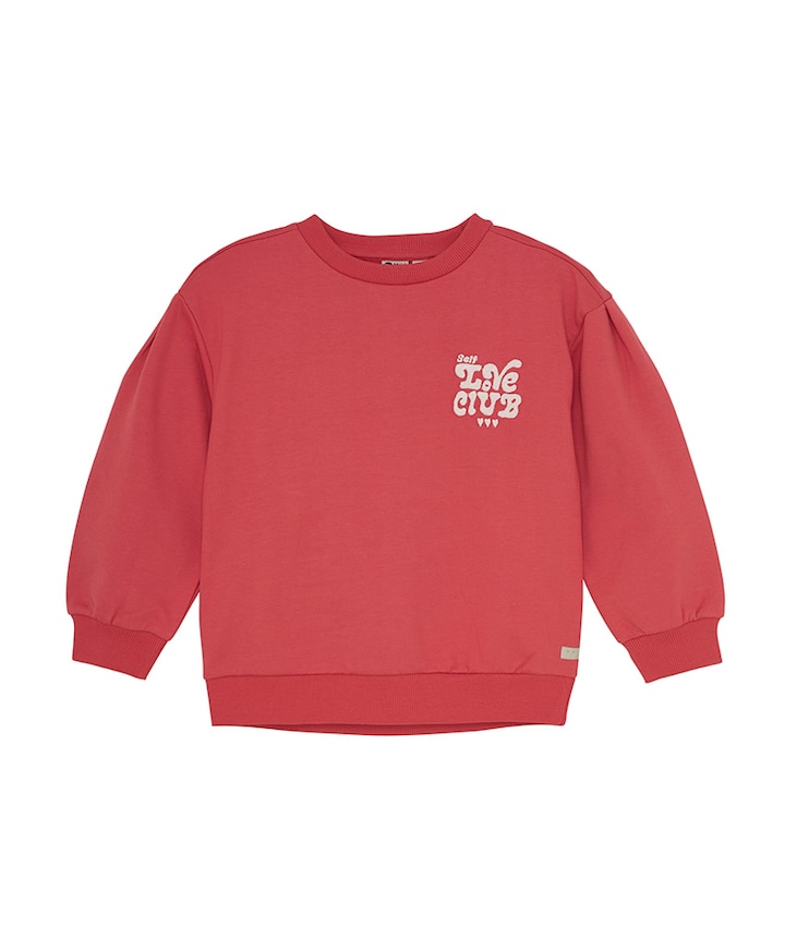 Sweater rood