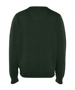Heren trui groen