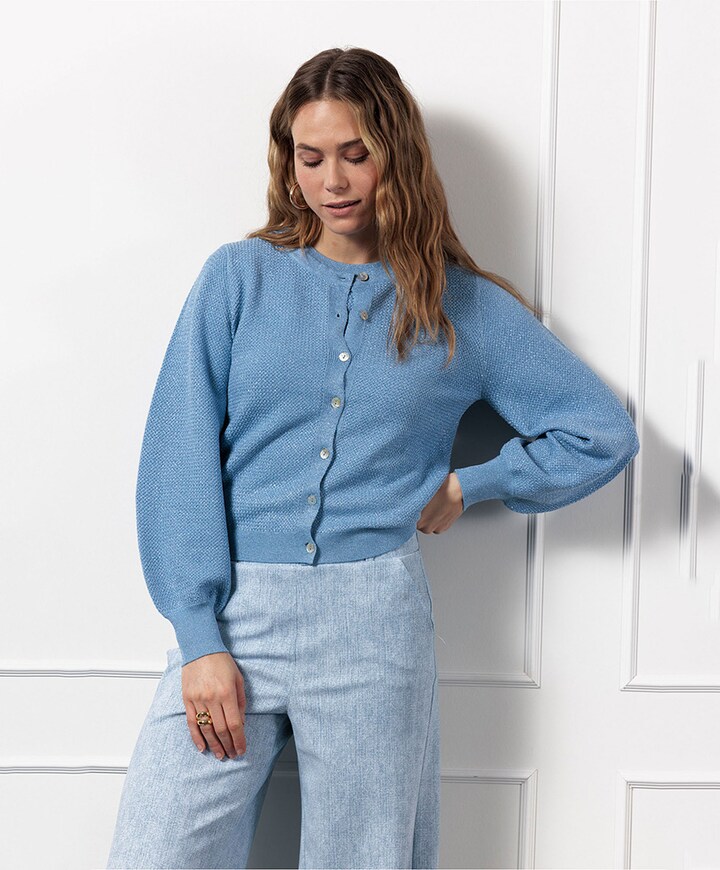 Vest blauw