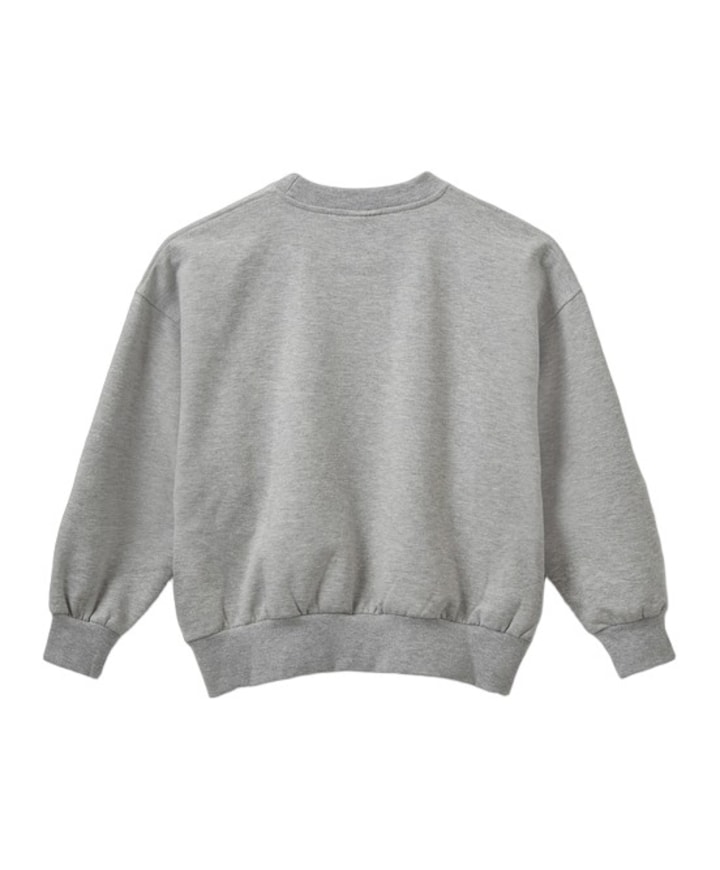 Meisjes sweater grijs