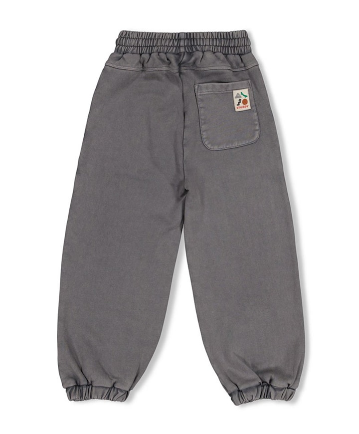Broek loose fit - Mountain top jongens broek grijs