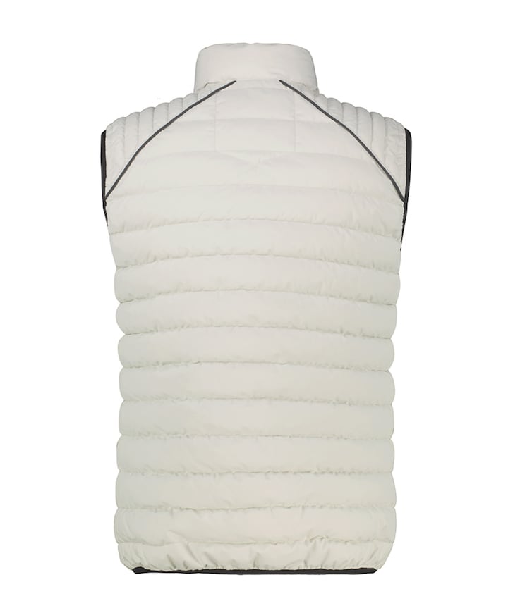 Heren bodywarmer grijs