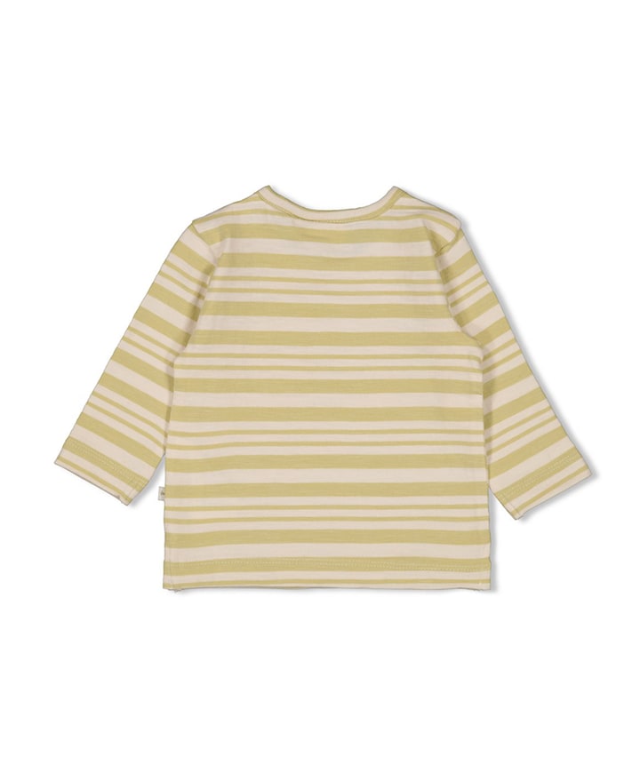 Jongens longsleeve groen