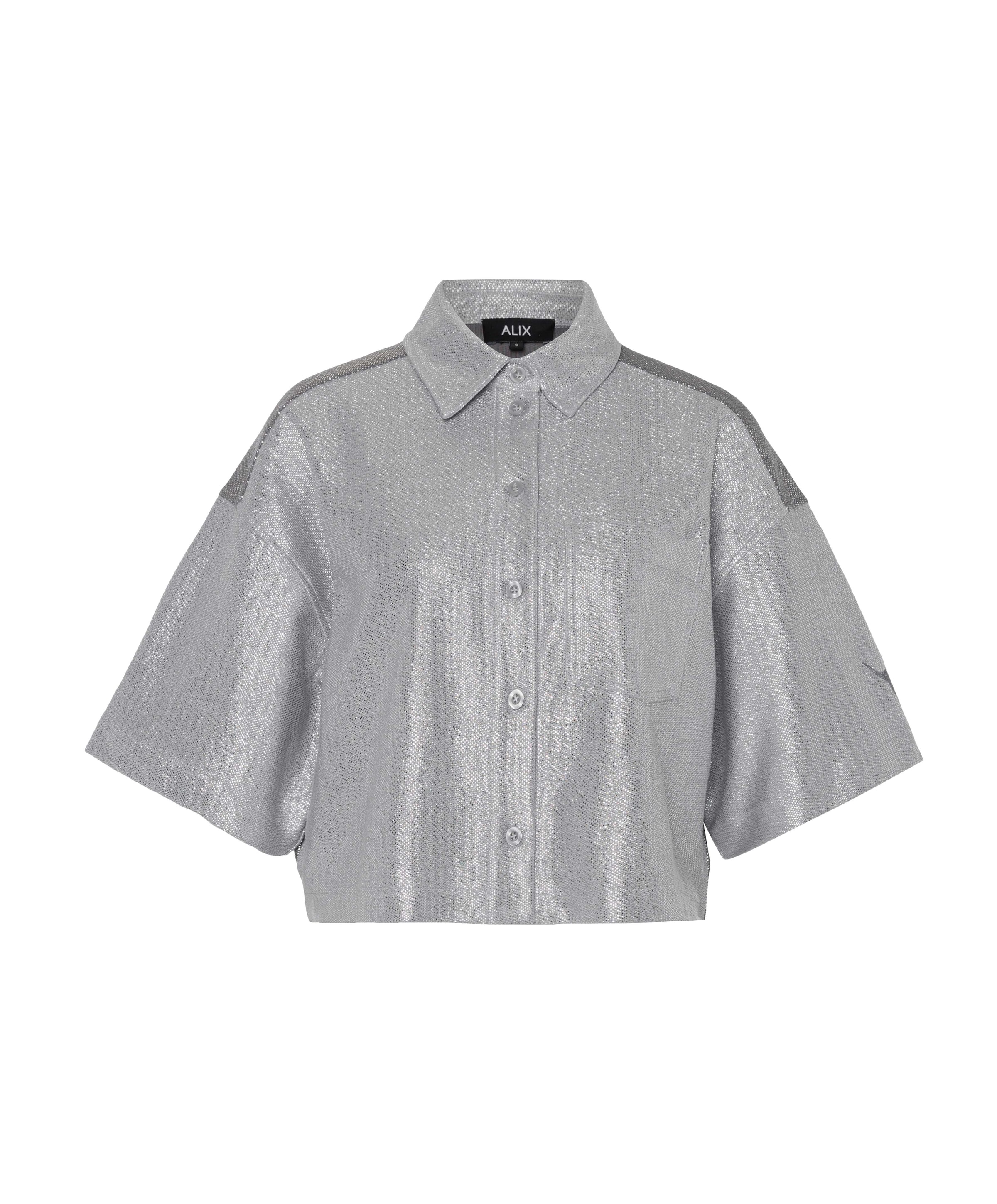 Dames blouse zilver