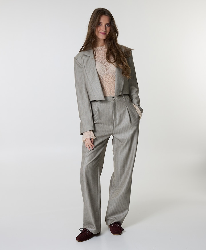 Pelah Pinestripe dames broek grijs