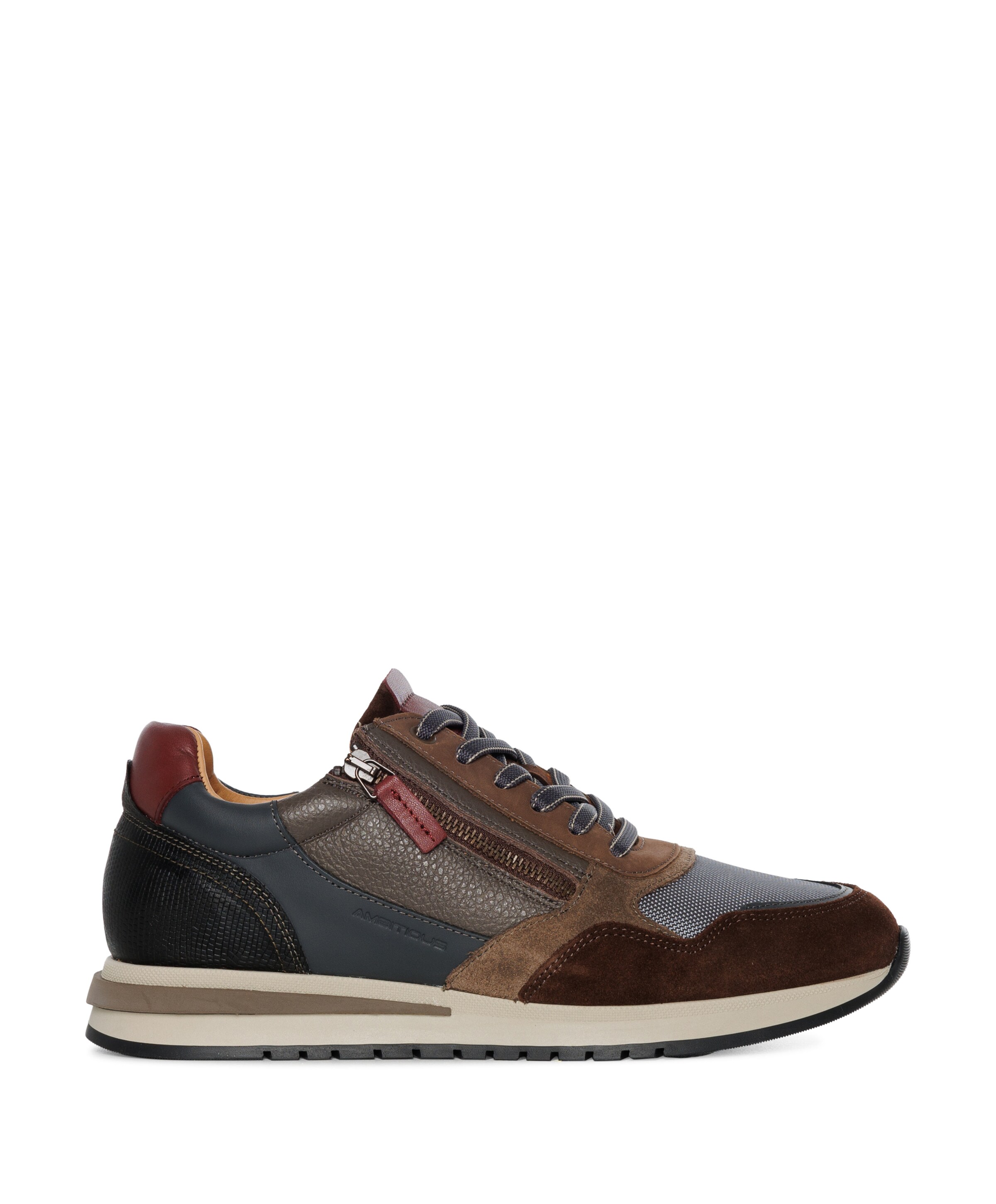 Temple sneakers bruin
