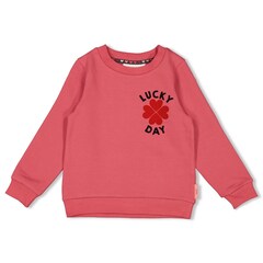 Sweater roze