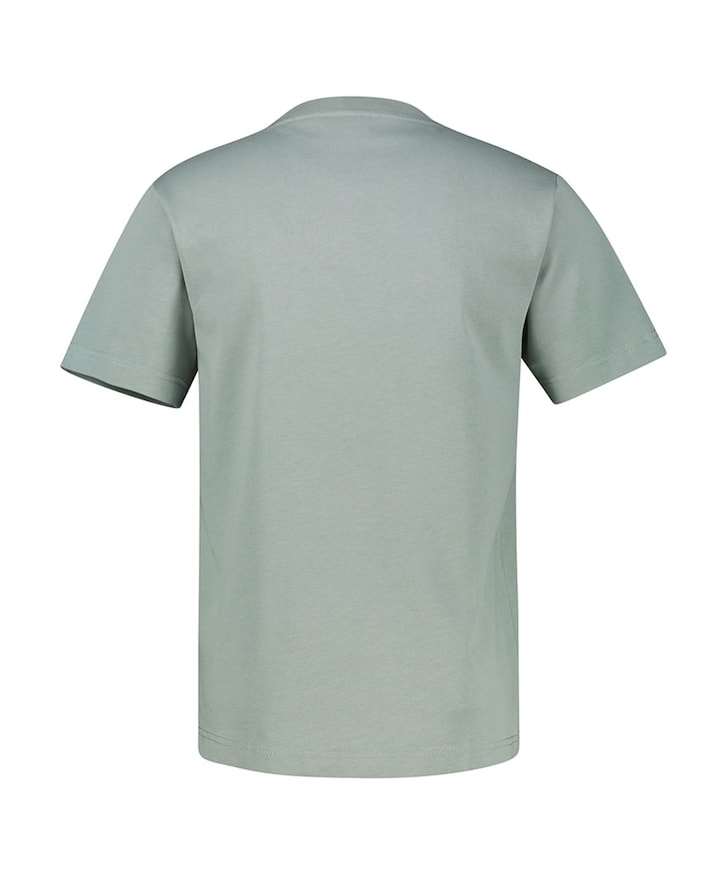 Heren T-shirt grijs