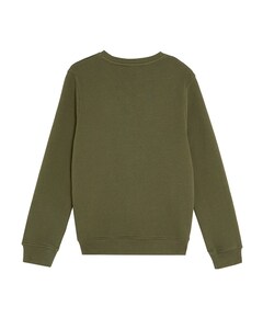Jongens sweater groen