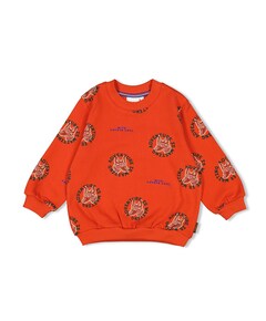 Sweater oranje