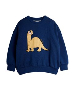 Jongens sweater blauw