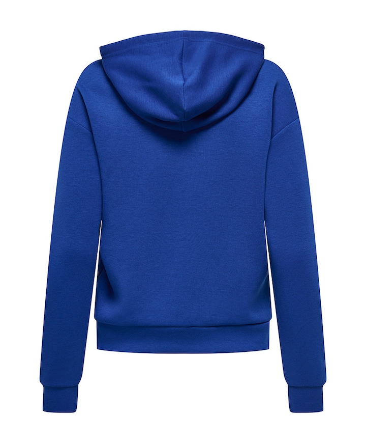 Dames trui blauw
