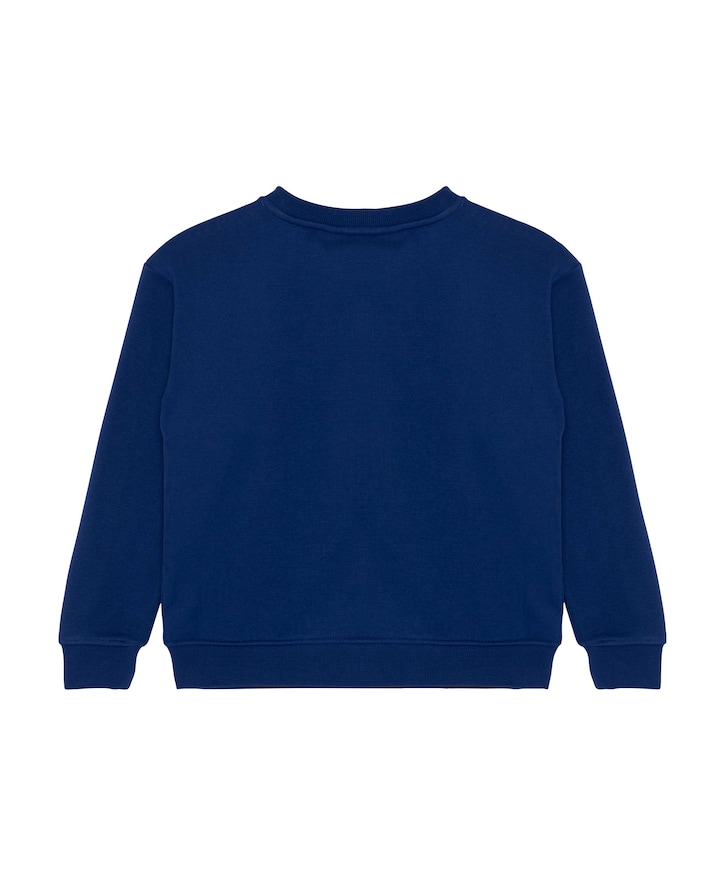 Jongens sweater blauw
