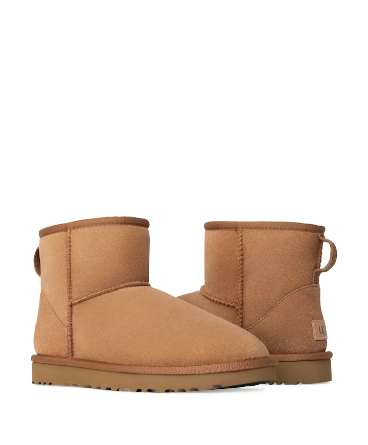 Classic mini II dames enkellaarzen bruin