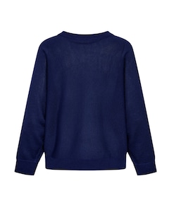 Dames trui blauw