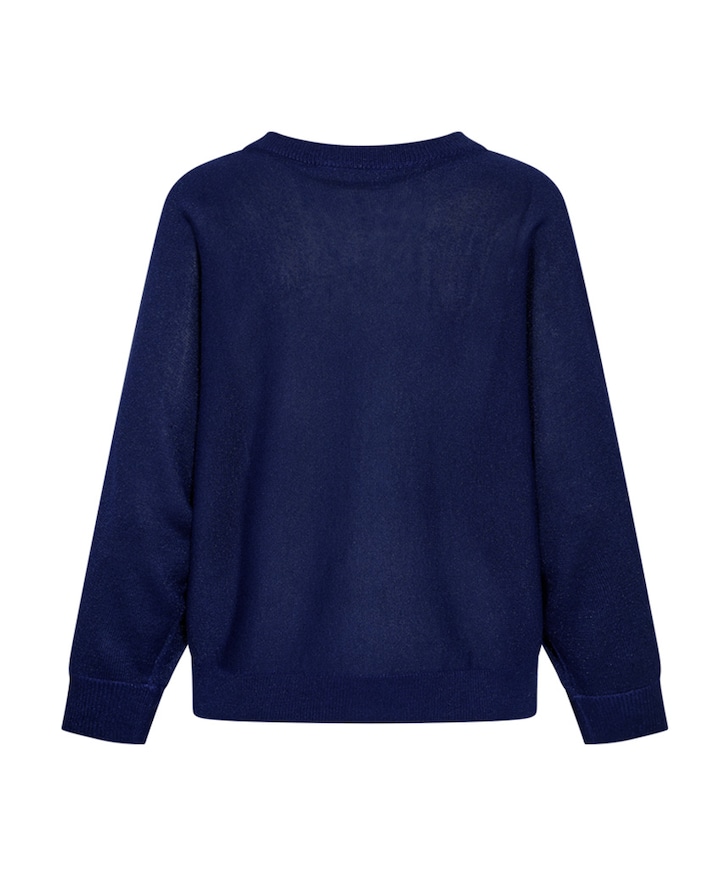 Dames trui blauw