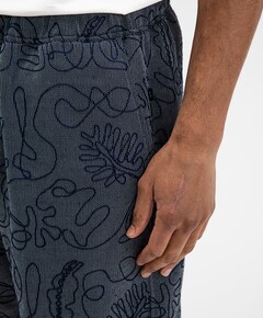 Alex Embro Shorts heren korte broek blauw