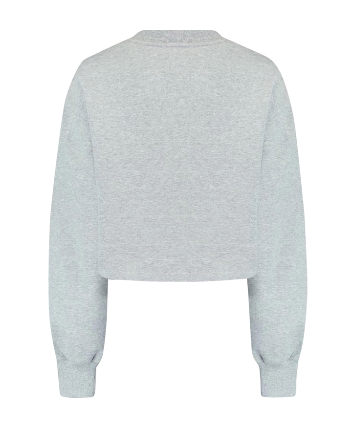Dames sweater grijs