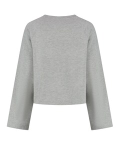 Dames trui grijs