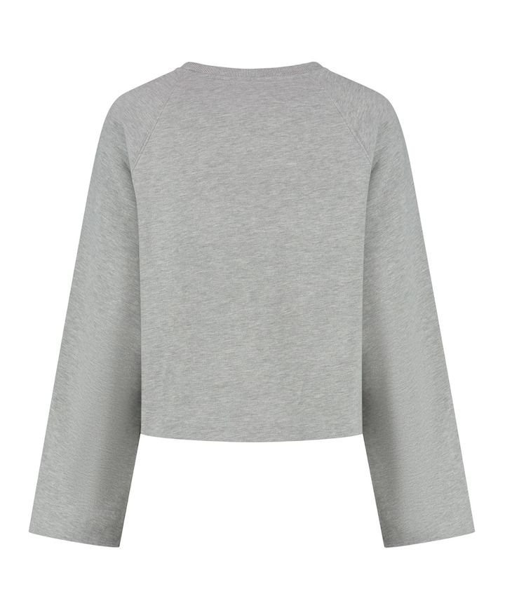Dames trui grijs