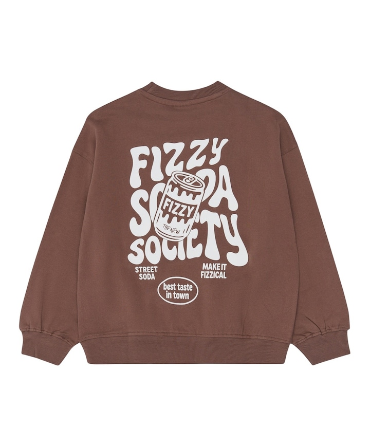 Jongens sweater bruin