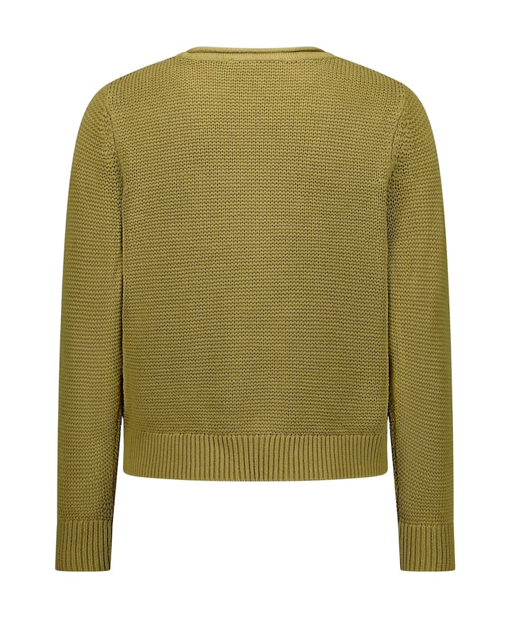 Dames trui groen