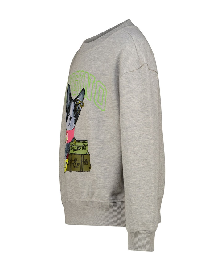 Meisjes sweater grijs