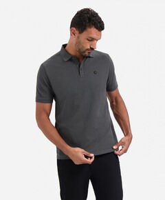 Heren polo grijs