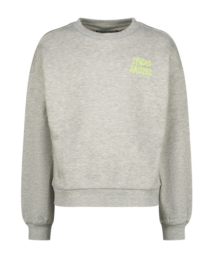 Sweater grijs
