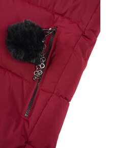 Dames jas bordeaux