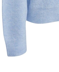 Dames trui blauw