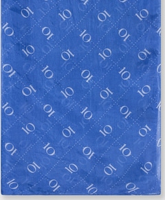 Dames sjaal blauw