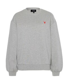 Dames sweater grijs