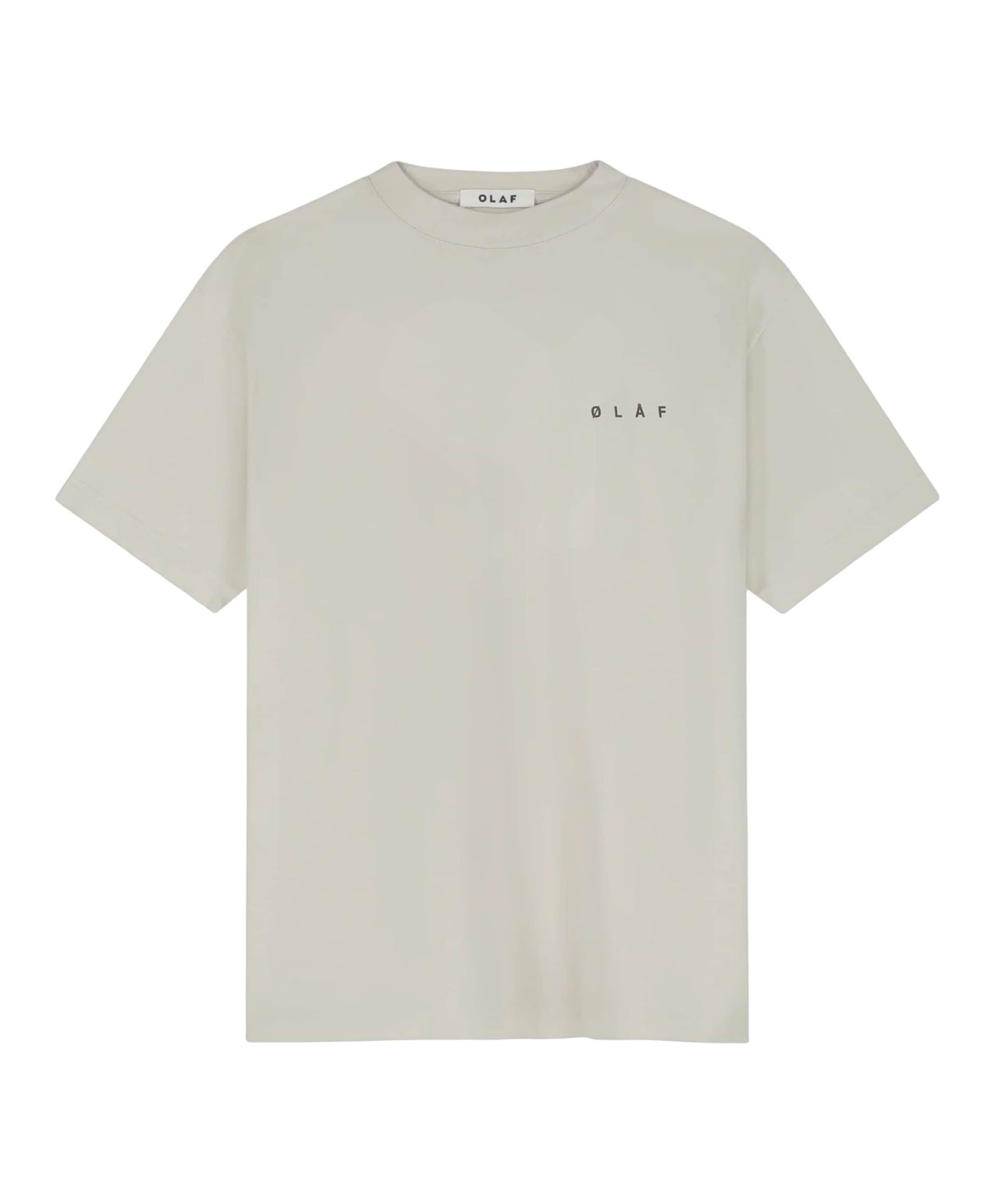 Heren T-shirt grijs