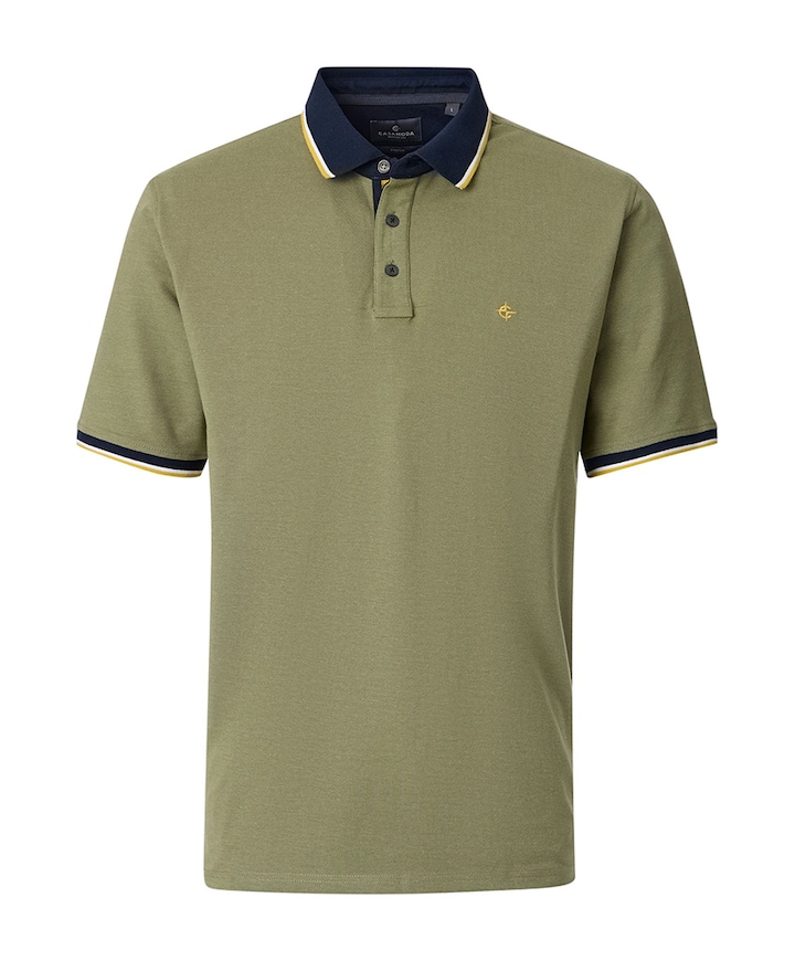 Heren polo groen
