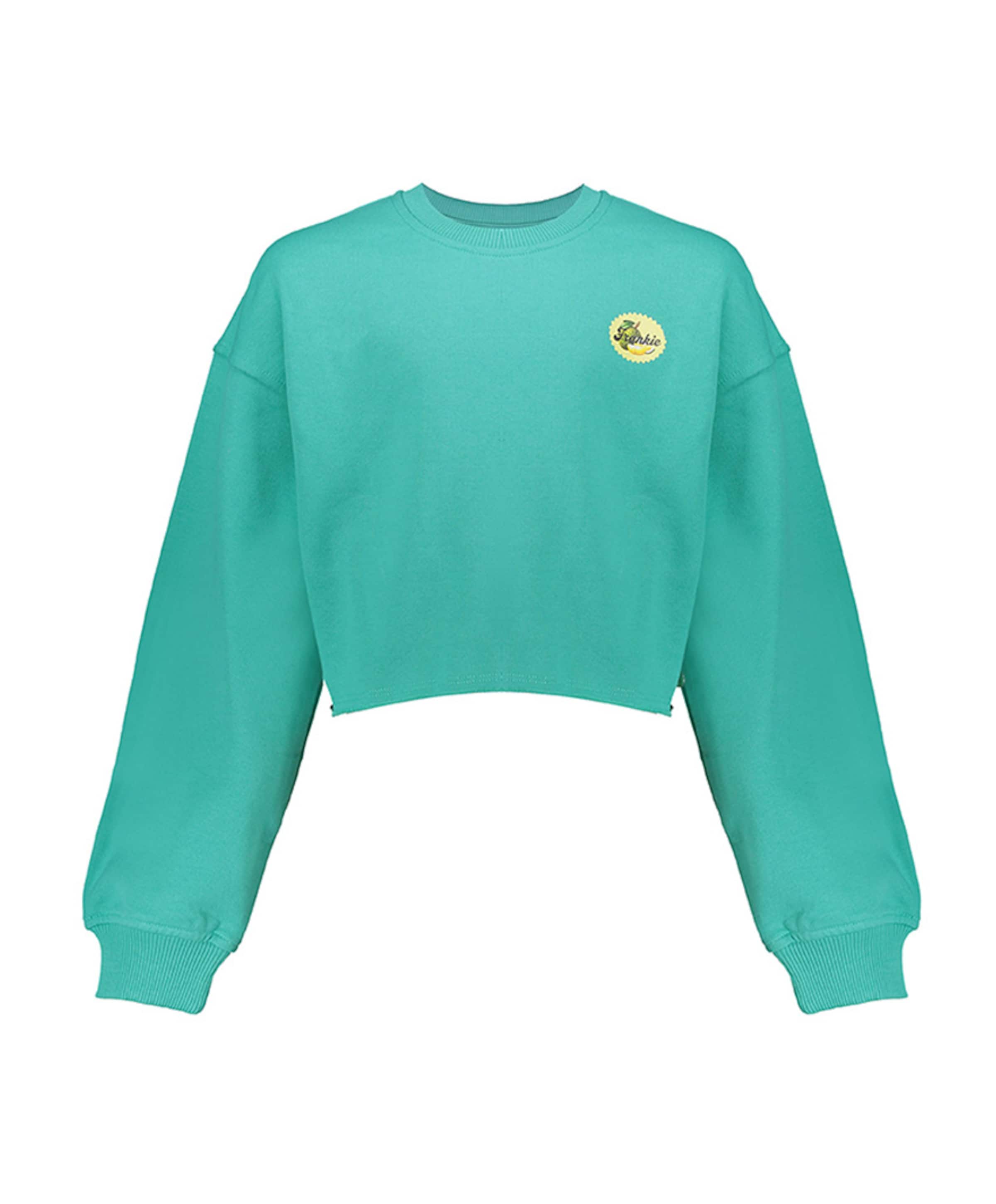 Meisjes sweater groen